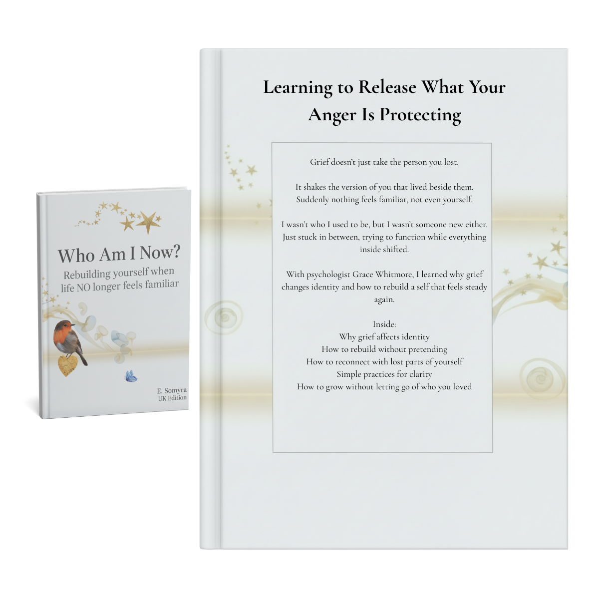 Learning to Live Again Without Leaving Them Behind